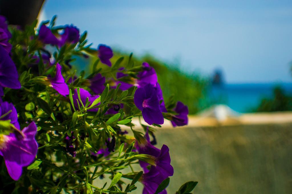Agathi Beach House Agios Gordios  Luaran gambar